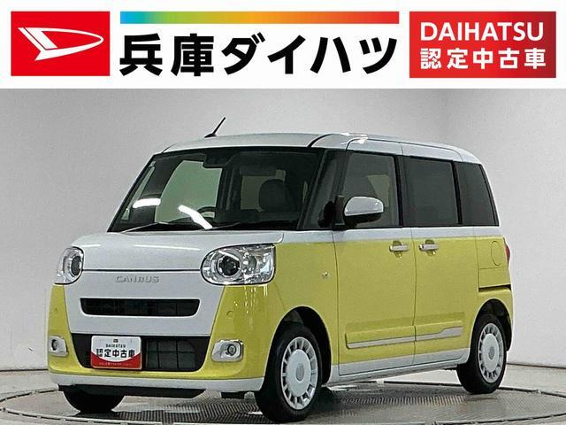 ムーヴキャンバス  ストライプス G