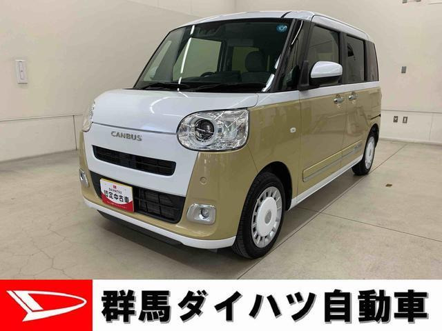 ムーヴキャンバス ストライプス G