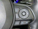 クルーズコントロール機能が付いています。 速度を設定するとアクセルを踏まなくても一定の速度で走ることができます。  高速道路ではとても便利な装置なんです。