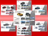 正規ディーラー15ブランド32拠点のネットワークを誇ります。Jeep PEUGEOT Citroen  DS Fiat AlfaRomeo Abarth BMW BMW Mini Volvo Porsche