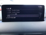 オーディオソースはこのようになっています。