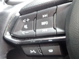 【ステアリングスイッチ】ステアリングスイッチは運転姿勢や視線を崩さずに操作が可能です。左側にはオーディオ類があります。