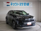 お色人気の「ブラックマイカ」です♪
