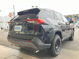 RAV4 2.0 アドベンチャー 4WD 