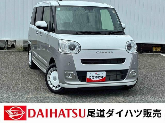 ムーヴキャンバス  ストライプス G