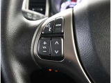 ステアリングスイッチ付き。前方から目を離すことなく操作することが可能です。