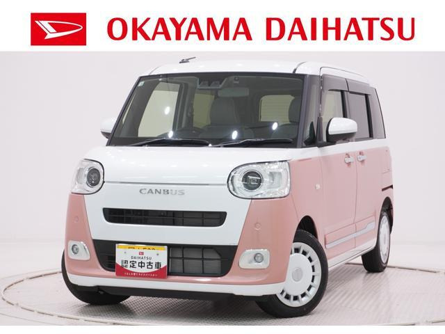 ムーヴキャンバス  ストライプス G