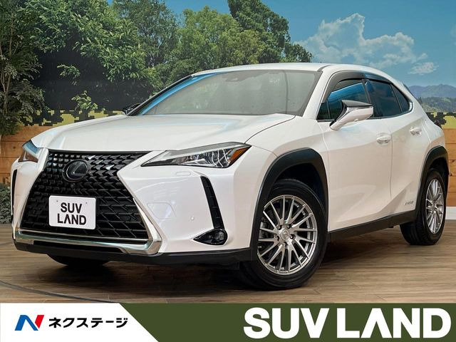 UX 250h バージョンC 