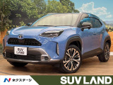 純正ナビ レーダークルーズコントロール ブラインドスポットモニター