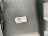 夜の荷室を明るくするラゲッジルーランプです。