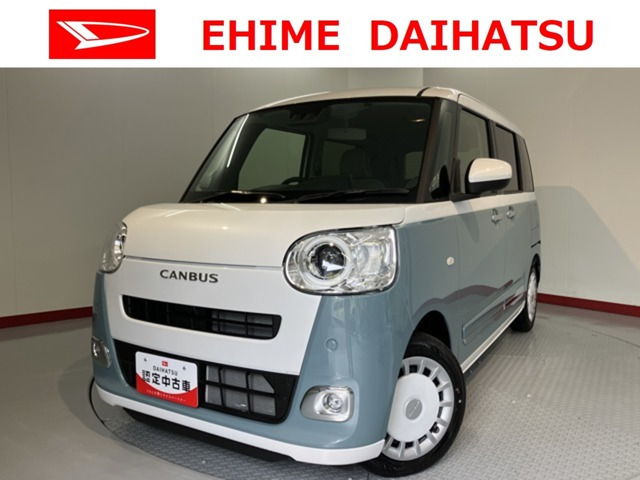 ムーヴキャンバス  ストライプス G