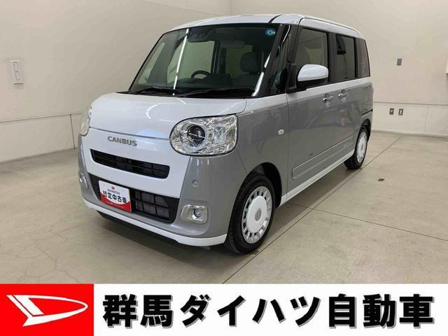 ムーヴキャンバス  ストライプス G