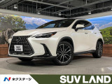 パノラマルーフ 14型ディスプレイ 全周囲カメラ 三眼LED 茶革シート