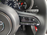 前方を行く車両を検知し、自身が設定した速度内で追従するレーダークルーズコントロール。遠出で大活躍すること間違いなしの、人気の装備です。