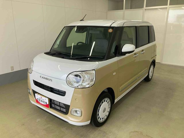 ムーヴキャンバス  ストライプス G