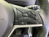 手元にクルーズコントロール関連のスイッチを備え、必要な操作をまとめて行いやすい配置です。ボタンの表示も確認しやすく、運転中に視線を大きく移さず扱えるよう配慮されています。