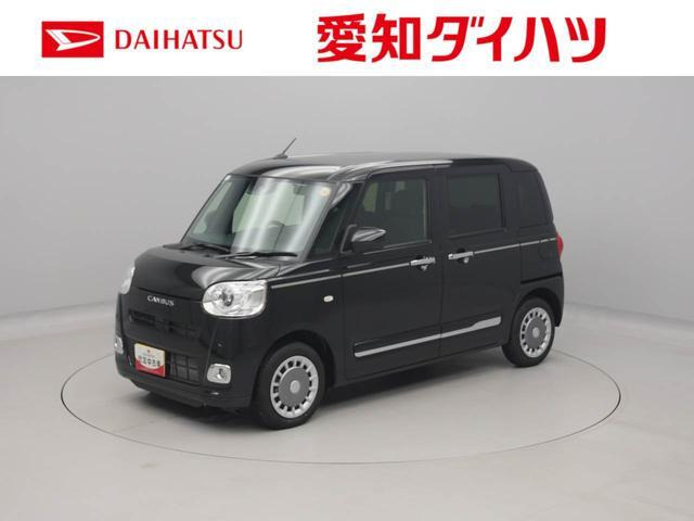 ムーヴキャンバス  セオリー G