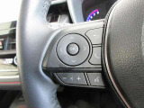 ステアリングスイッチは前方から目を離すことなく操作することが可能。わき見運転の防止に。