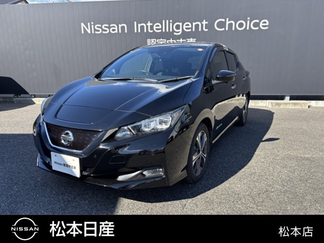 リーフ G