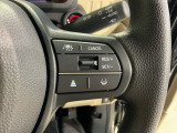先進の安全運転支援システム、HondaSENSINGのスイッチ類。