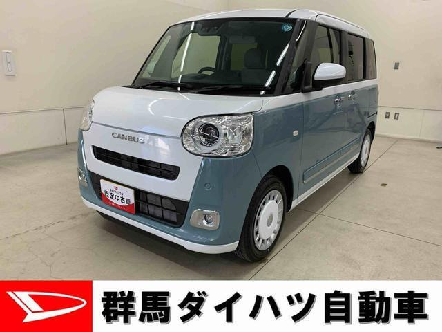 ムーヴキャンバス  ストライプス G