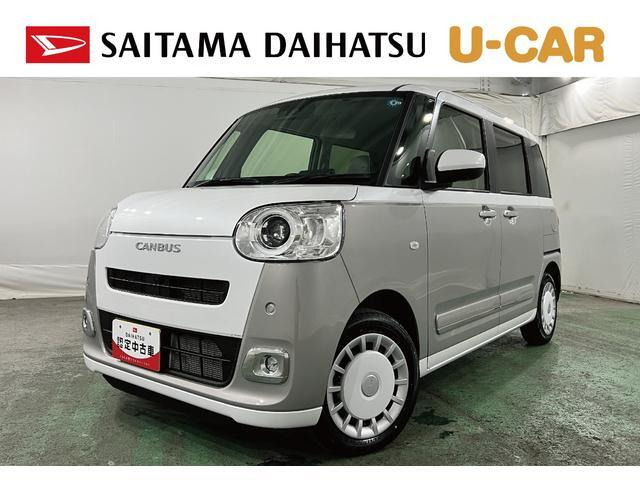 ムーヴキャンバス  ストライプス G
