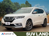 BIGX10型ナビ 全周囲カメラ プロパイロット 革シート ルーフレール