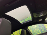 UX 250h 