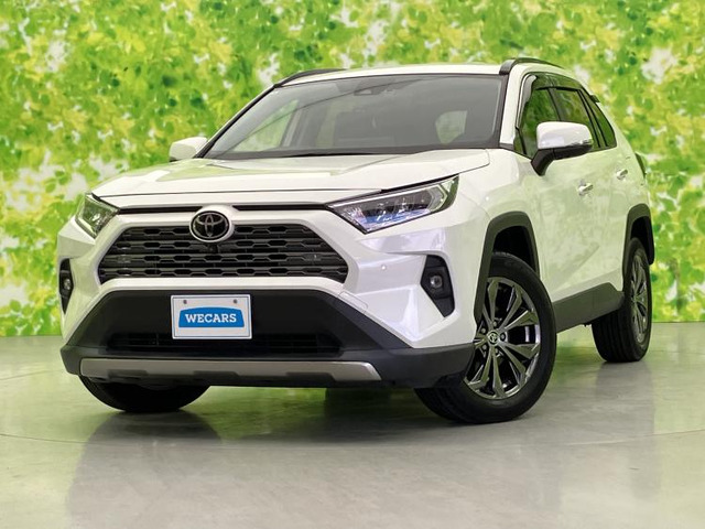 RAV4 2.0 G 4WD