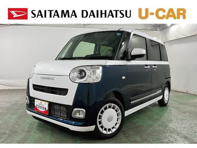 ムーヴキャンバス  ストライプス G