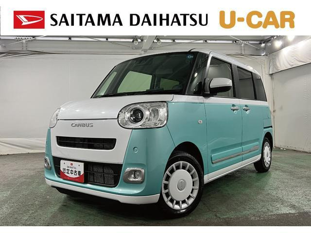 ムーヴキャンバス  ストライプス G
