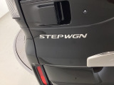 STEPWGNのエンブレムです。