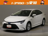 当社規定により愛知県にお住まいの方への販売に限らせて頂きます。