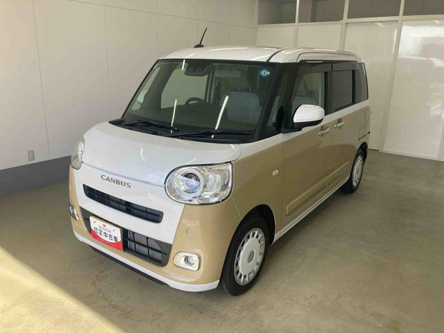 ムーヴキャンバス  ストライプス G