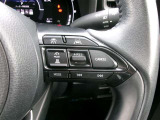 クルーズコントロールで一定速度をキープできます。運転の疲労も軽減してくれ、燃費節約にも役立ちます。ロングドライブの頼もしい味方ですね。