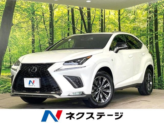 NX 300 クール&ブライト 特別仕様車