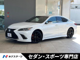 TRDマフラー TRDフルエアロ エアロダイナミクスミラーカバー