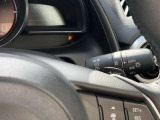 ライトとウィンカー操作部でございます。