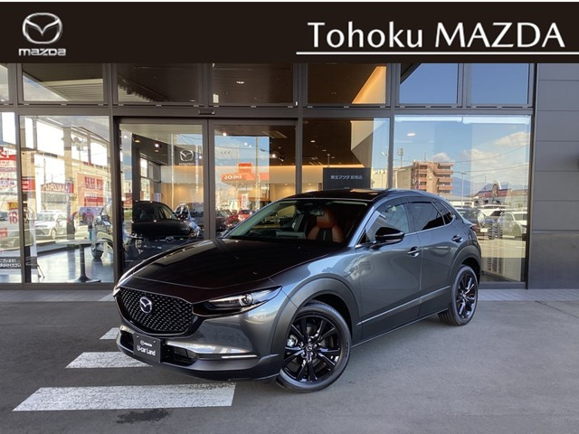 CX-30 2.0 20S レトロスポーツエディション 4WD