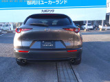 リアビューです。後ろから見ても目を引きます。