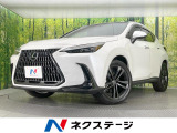 サンルーフ 純正14型ナビ 全周囲カメラ デジタルミラー 100V電源