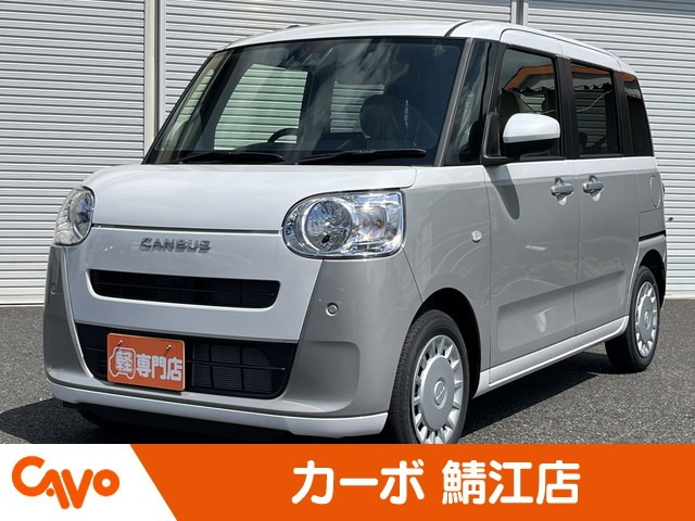 ムーヴキャンバス  ストライプス X