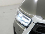 精悍な目つきのLEDヘッドランプを装備しております。