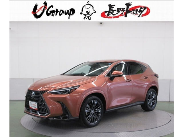 NX 350h バージョンL 4WD 