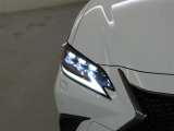 精悍な目つきのLEDヘッドランプを装備しております。