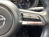 ステアリング右には運転支援系システムがまとまっており、運転中の操作の迷いを少なくしてくれます。