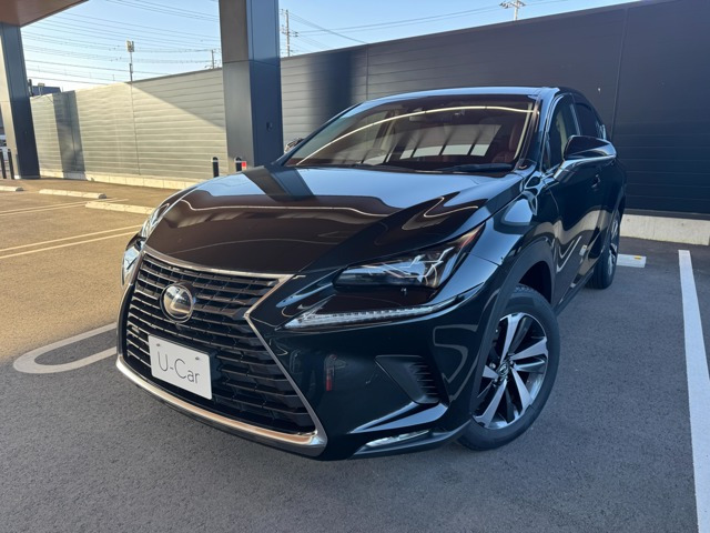NX 300h Iパッケージ