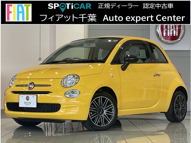 500C ミモザ 