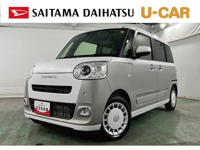 ムーヴキャンバス  ストライプス G