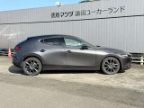 ショールーム内にはキッズコーナーも完備!ぞうさんの滑り台はキッズに人気のスポットです★